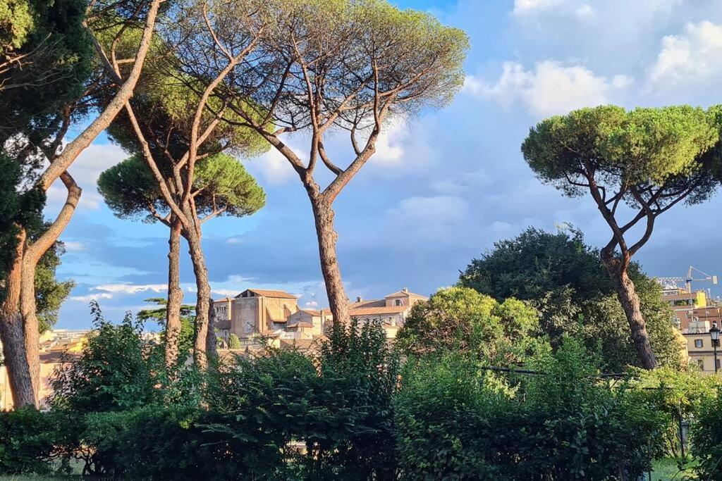 Appartamento Vintage Colosseo Roma